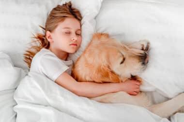 The unbreakable bond: Dogs as companions and bedfellows