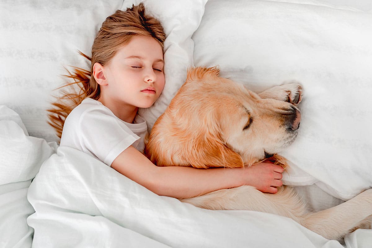 The unbreakable bond: Dogs as companions and bedfellows
