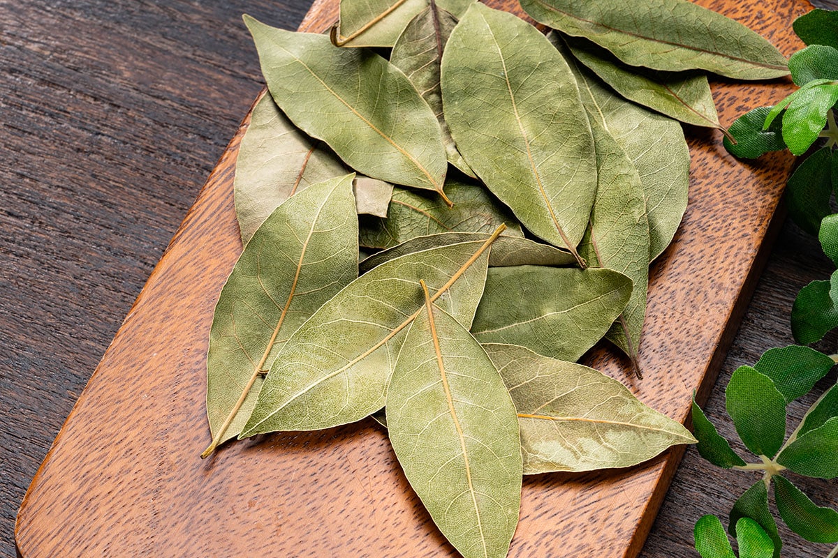 Unlocking abundance: how bay leaves and feng shui can transform your space